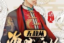 诸天:无敌从海贼开始小说阅读,诸天:无敌从海贼开始完结版-乐读文学