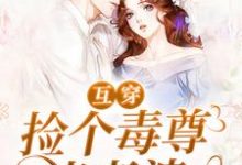 互穿:捡个毒尊当老婆小说的免费阅读版本在哪里可以找到?-乐读文学