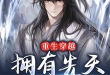 《重生穿越:拥有先天纯阳体质》全集免费在线阅读(林棋赢天凤)-乐读文学