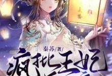 叶瑾安君南陌小说在线章节免费阅读(疯批王妃要和离偏执王爷傻眼倒追无弹窗无删减)-乐读文学