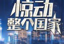 小说《我一通电话,惊动整个国家》章节阅读-乐读文学