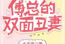 在线搜索许安安傅寒决的完整小说,免费阅读三宝联盟:傅总的双面丑妻-乐读文学