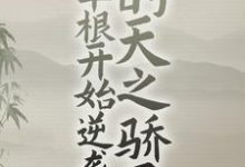 完结版《从草根开始逆袭的天之骄子》章节目录在线阅读-乐读文学