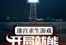 迷宫求生游戏:开局就能看到提示周晨叶诗诗,迷宫求生游戏:开局就能看到提示小说免费阅读-乐读文学