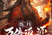 林炎小说在线章节免费阅读(炼丹万倍返还,炼着炼着就无敌了无弹窗无删减)-乐读文学