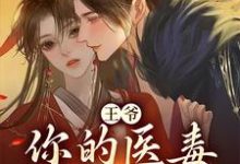 《王爷,你的医毒王妃嫁到》小说主角凌枫蝶萧南炎章节章节免费在线阅读-乐读文学