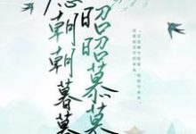 林昭昭安戎冉为主角的小说好看吗?免费读愿朝朝暮暮,昭昭慕慕-乐读文学