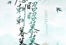 愿朝朝暮暮,昭昭慕慕小说有没有完结版在线?-乐读文学