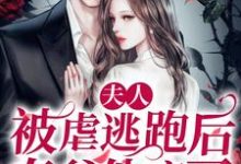小说《夫人被虐逃跑后,秦爷他疯了》章节免费阅读-乐读文学