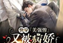 傅凉宋景渊为主角的小说快穿:美强惨又被病娇强制爱了在线阅读-乐读文学