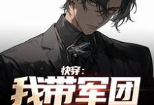 快穿:我带军团灭日军小说阅读,快穿:我带军团灭日军完结版-乐读文学