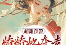 《超甜预警!娇娇她夺走了糙汉的心》小说章节列表免费试读,窈儿盛怀安小说在线阅读-乐读文学