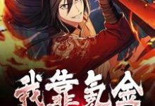 完结版《我靠氪金无敌诸界》在线免费阅读-乐读文学