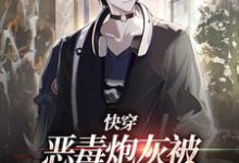 男女主人公时安小说快穿:恶毒炮灰被疯批们强制爱了章节免费阅读-乐读文学