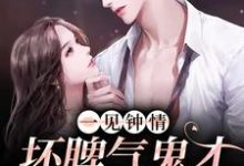 一见钟情:坏脾气鬼才导演的克星小说有没有完结版在线?-乐读文学