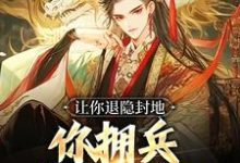 免费在线阅读让你退隐封地,你拥兵杀入长安?小说的正规网站有哪些?-乐读文学
