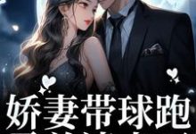 娇妻带球跑,霸总请走开姜南韵厉司宴,娇妻带球跑,霸总请走开小说免费阅读-乐读文学