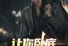 让你卧底,没让你当老大苏晨,让你卧底,没让你当老大在线无弹窗阅读-乐读文学