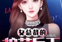《女总裁的护花兵王》小说大结局免费试读 秦毅苏若曦楚小小小说-乐读文学