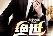 绝世医婿免费阅读,绝世医婿 叶辰苏梦竹-乐读文学