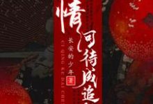 此情可待成追忆小说有没有完结版在线?-乐读文学