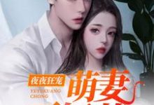 夜夜狂宠:萌妻不好惹这本小说完结了吗?免费查看最新章节-乐读文学