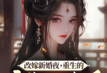 求改嫁新婚夜,重生的亡夫回来了小说免费资源-乐读文学
