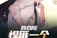 四合院：悍匪一个，谁都别惹我张朝阳傻柱，四合院：悍匪一个，谁都别惹我小说免费阅读-乐读文学