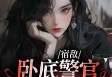 在线寻找谈又宁霍远沉的小说,宿敌:卧底警官她过分美丽免费阅读-乐读文学