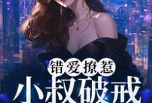 错爱撩惹:小叔破戒缠宠我小说的免费电子版在哪里可以下载或阅读?-乐读文学