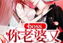 小说《boss你老婆又生气了》章节阅读-乐读文学