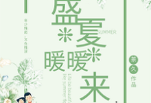 盛夏暖暖来小说有没有完整的免费版本在线阅读?-乐读文学