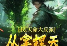 在线寻找我,天命大反派,从拿捏天道开始小说的无删减版本-乐读文学