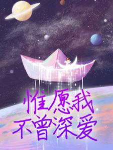 夏墨傅哲小说叫什么（惟愿我不曾深爱免费阅读）