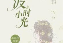 渡,小时光小说最新更新在哪里?免费在线看-乐读文学