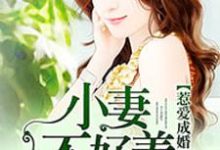 寻找能够免费阅读惹爱成婚:小妻不好养小说的平台-乐读文学