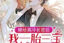 沈月亮纪延川为主角的小说好看吗?免费读嫁给高冷长官后,我一胎三宝被团宠了-乐读文学