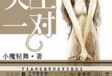 天生一对小说完结版章节免费阅读-乐读文学