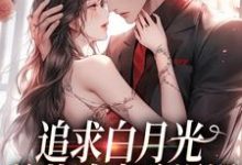 《追求白月光,总裁追妻路漫漫》小说主角姜苒傅司寒章节章节免费在线阅读-乐读文学