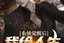 系统觉醒后,我给人生开了个挂免费阅读,系统觉醒后,我给人生开了个挂章节在线阅读-乐读文学