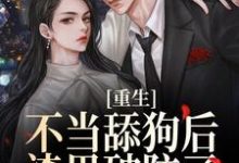 小说《重生不当舔狗后,渣男破防了》章节免费阅读-乐读文学