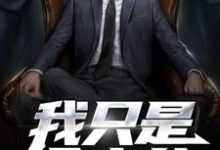 已完结小说《我只是个少爷》在线章节阅读-乐读文学