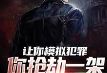 让你模拟犯罪,你抢劫一架运钞机?这本小说怎么样?免费在线阅读试试-乐读文学