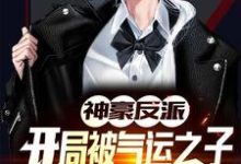 神豪反派:开局被气运之子戴绿帽小说最新章节在哪里可以读到?-乐读文学