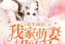 重生18岁:我家萌妻超凶的(甄珍秦煜林衍顾晓)在线免费阅读-乐读文学