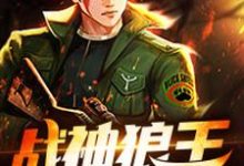 主角叫 谷锋胡芸小说战神狼王章节免费阅读-乐读文学
