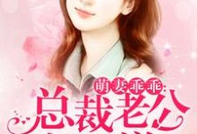 全晚晚凌小安萧寒为主角的小说好看吗?免费读萌妻乖乖:总裁老公好霸道-乐读文学
