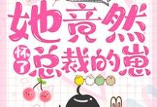 一夜情后,她竟然怀了总裁的崽小说有没有完整的免费版本在线阅读?-乐读文学