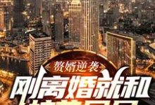 赘婿逆袭:刚离婚就和校花同居小说,赘婿逆袭:刚离婚就和校花同居章节在线阅读-乐读文学