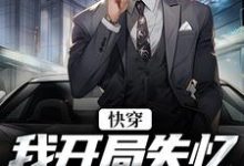 完整版的快穿:我开局失忆,入赘云家小说在哪里可以免费读到?-乐读文学